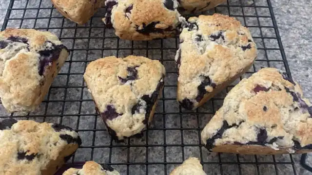 on the way cafe ocean City NJ