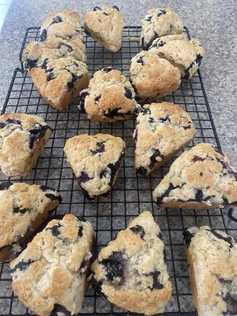 on the way cafe ocean City NJ