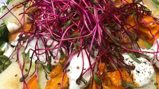 positively fourth street ocean city nj